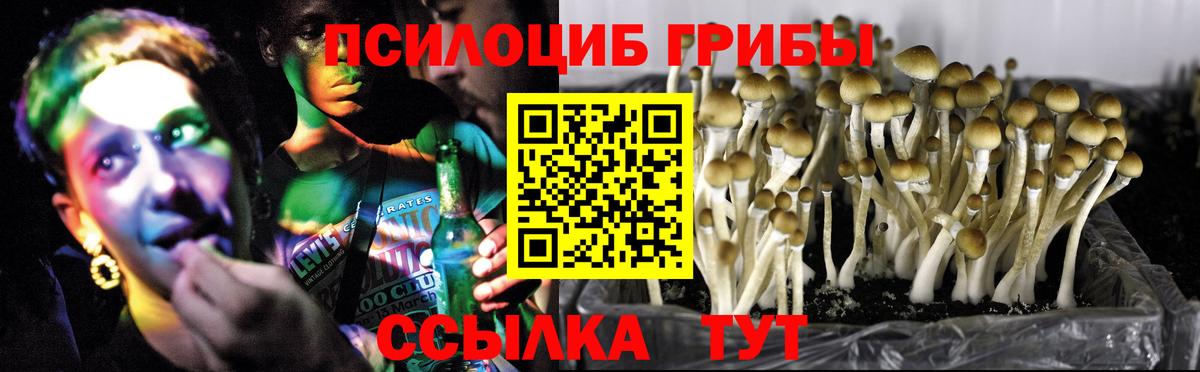 Псилоцибиновые грибы Magic Shrooms Егорьевск